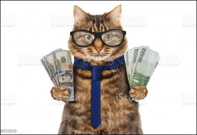 Quelle monnaie ce matou n'a-t-il pas dans les mains ?