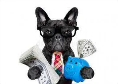 De quelle couleur est la tirelire de ce chien ?