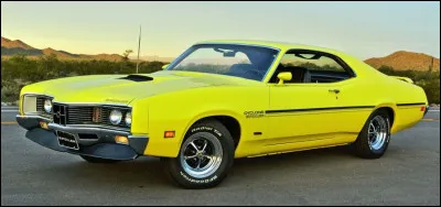 J'ai une image assez négative des sportives américaines. Je leur trouve peu de qualités lorsque je fais la comparaison avec leurs homologues européennes. Quelle est cette sportive américaine ?