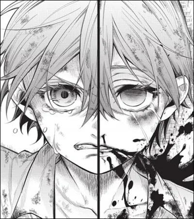 De quel côté est située la marque "au fer" sur le dos de Ciel ?