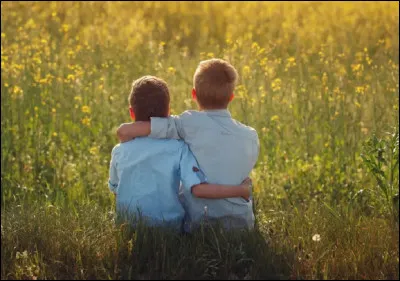 Quel chanteur, surnomm&eacute; ''Monsieur 100 000 volts'' est le compositeur de la chanson ''T'as raison mon ami'' ?
