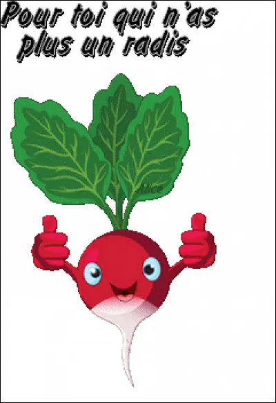 Si vous faites partie des gens qui n'ont plus un kopeck, qu'est-ce que le kopeck ?