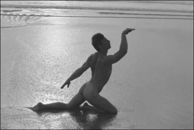 De nombreuses lgendes tournent autour de Cycnos. Cependant, elle sont pratiquement toutes lies  un animal. Lequel ?