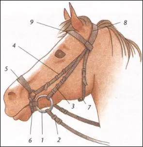 Quelle est la partie N7 ?