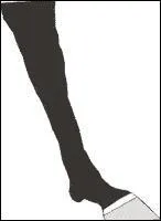 Quelle est cette balzane ?