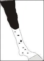 Quelle est cette balzane ?