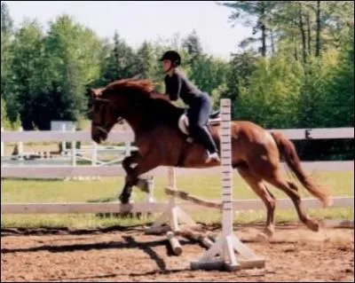 Quelle est ma position lorsque je saute ?