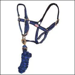 Que voit-on sur la photo ?