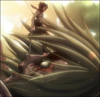 Pour quelle raison Livaï et Mikasa poursuivent-ils le féminin dans la forêt alors que celui-ci tente de s'enfuir ?