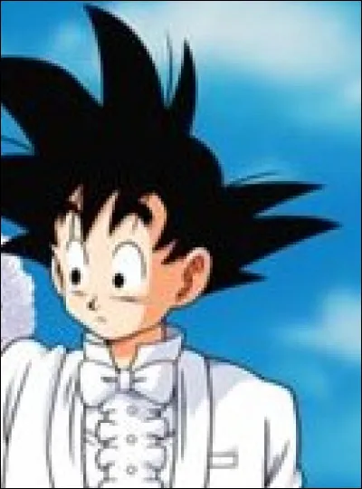 Avec qui, Sangoku, se marie-t-il ?