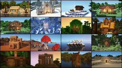 Dans quel biome trouve-t-on un village ?