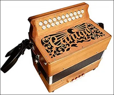 Quel est le nom de ce type d'accordéon ?