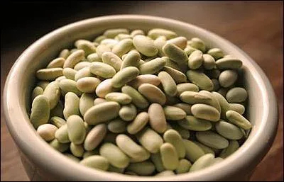 Un flageolet est un haricot, mais c'est aussi :