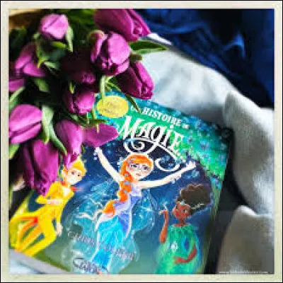 Où se trouve l'académie de magie de Mme Mûredutemps ?