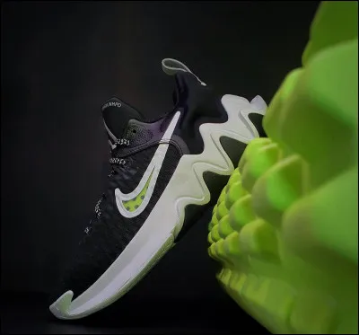 Quelle est cette paire, signature de Giannis ?