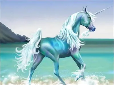 Cet animal est souvent appel 'la licorne de mer'. Il s'agit :
