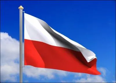 Qu'est-ce qu'une polonaise ?