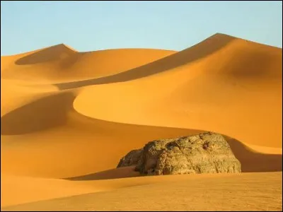 Et une autre possibilité de pelage !
