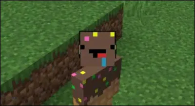 Quel est le pseudo de Ninjaxx sur Twitch ?