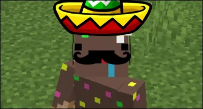 Quel âge va-t-il avoir à son prochain anniversaire, en 2021 ? ( un petit calcul s'impose si tu connaissais la réponse à la question 6 )