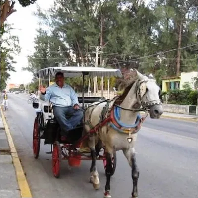 Quel moyen de locomotion peut se faire en coupe ou en godille ?