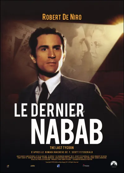 À qui doit-on le roman "Le Nabab" ?