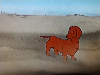 Comment se nomme ce chien ?