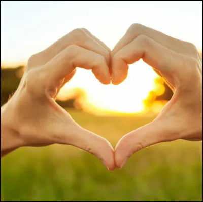 Votre partenaire doit être :