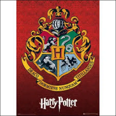 Enfin, quelle est ta maison préférée ?