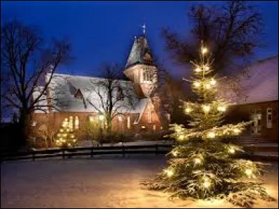 Quelle décoration vas-tu mettre sur ton sapin de Noël ?