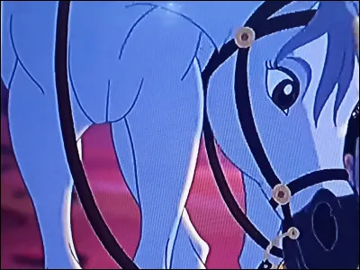 Quel est le de cette jument ?