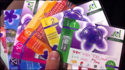 Dans quelle ville peut-on utiliser la monnaie locale, le Sol-Violette ?