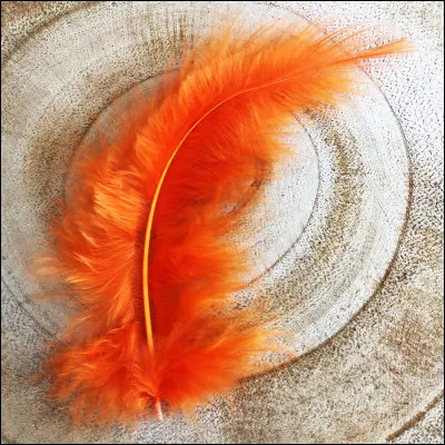 Lequel de ces plats n'est pas réalisé avec une sauce aigre-douce ?