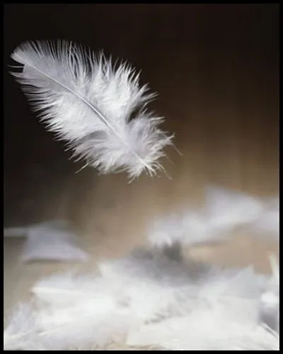 Quelle romancière américaine a écrit "Douce Nuit" ?