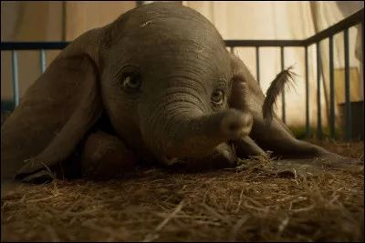 Comment s'appelle ce film ?