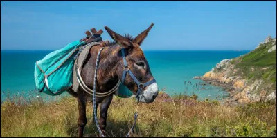 "Le 8, le 9 au plus tard, vous aurez sur les bras 15 000 ou 18 000 Autrichiens venant de Gênes. Portez-vous à leur rencontre, écrasez-les". À qui cet ordre comminatoire de Bonaparte était-il adressé ?
