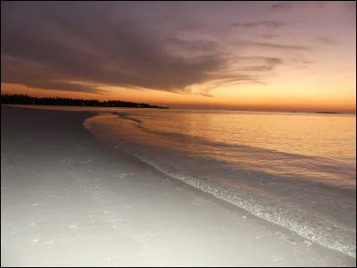 Ton endroit favori est...