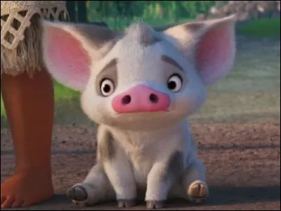 Dans "Vaiana, la légende du bout du monde", comment se nomme le cochon ?