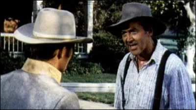 Dans "Les Prairies de l’honneur", Charlie Anderson (James Stewart), fermier veuf qui vit à Shenandoah en Virginie durant la guerre de Sécession, espère maintenir sa famille en dehors du conflit. De qui est ce film ?