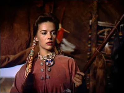 Dans "La prisonnière du désert" (1956), Ethan Edwards (John Wayne) part à la recherche de sa nièce Debbie (Natalie Wood) enlevée par les Comanches : qui en est le réalisateur ?