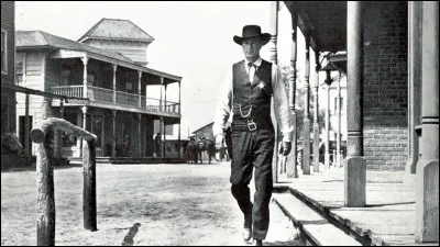 Dans "Le train sifflera trois fois" (1952), le shérif Will Kane (Gary Cooper), qui vient d'épouser la jeune quaker Amy Fowler (Grace Kelly), apprend l'arrivée en ville de Frank Miller, un homme quil avait jadis arrêté. Qui est le réalisateur ?