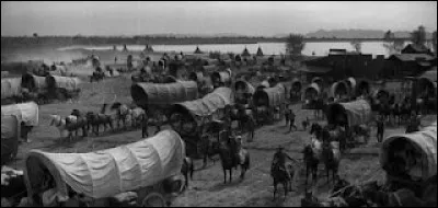 Dans "La piste des géants" (1930), John Wayne joue son premier grand rôle, un jeune guide qui dirige un convoi du Missouri à l'Oregon. Qui est le réalisateur du film ?