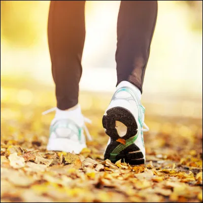 En Suède : Où faut-il éviter de marcher ?