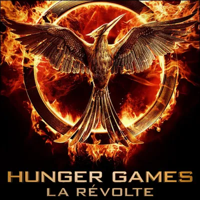 Quel objet accroche Cinna à son pardessus avant d'entrer dans l'arène ?