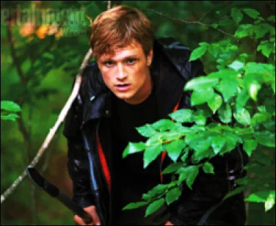 Qui est à la recherche de Katniss ?