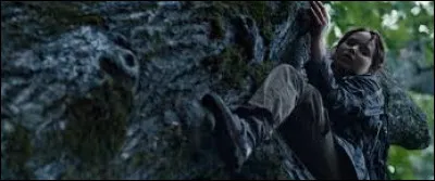 Que décide de faire Katniss quand les "carrières" courent vers elle ?