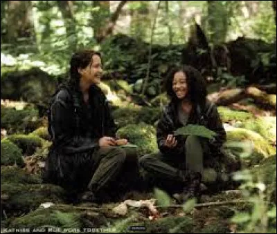 Qui s'allie avec Katniss ?
