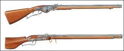 Comment désigne-t-on cette arme à feu portative au long canon, en usage dans l'infanterie aux XVIe et XVIIe siècles ?