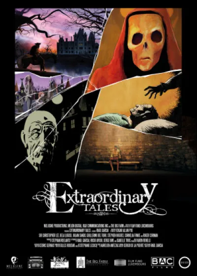 De quel pays est originaire ce film d'animation ?
