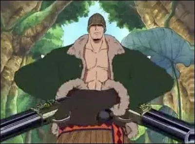 Quel ennemi de Zoro utilise des flash gun ?
